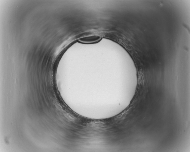 X0000101670150200807311505