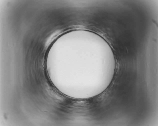 X0000101670151200807311505