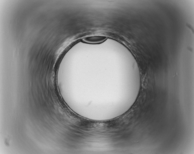 X0000101670152200807311505