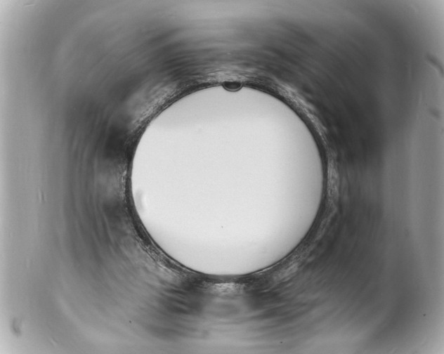 X0000101670153200807311505