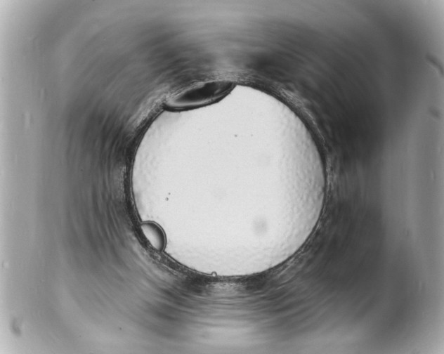 X0000101670154200807311505