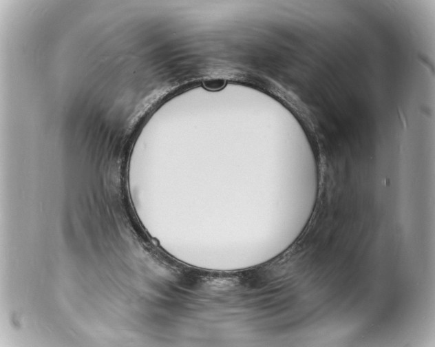 X0000101670155200807311505