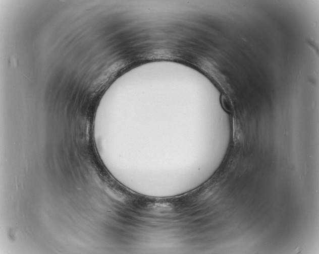 X0000101670157200807311505