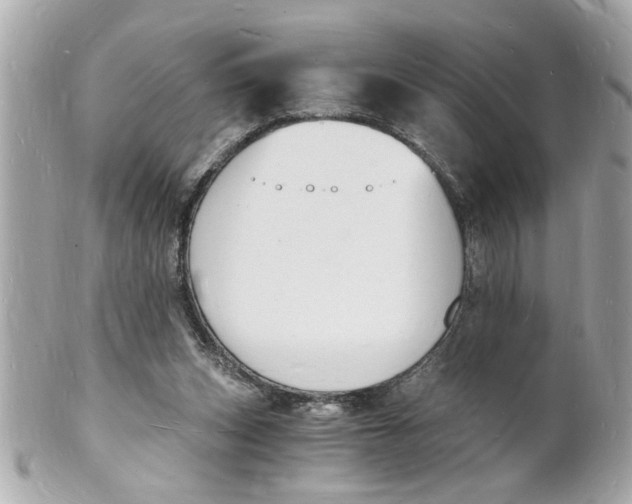 X0000101670159200807311505