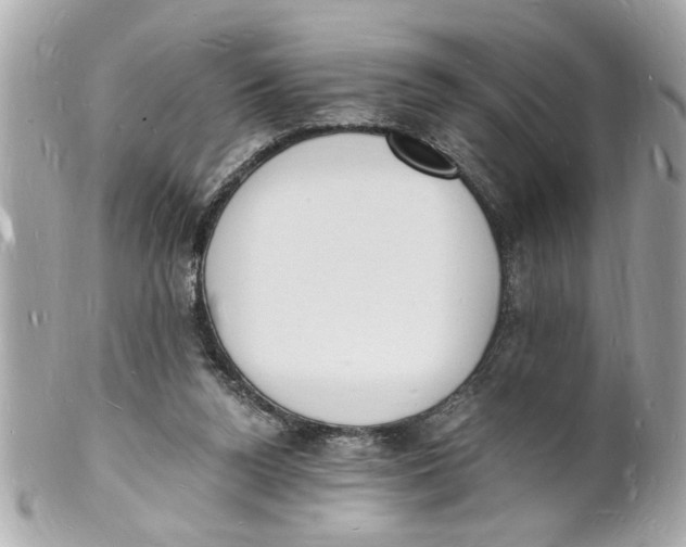 X0000101670160200807311505