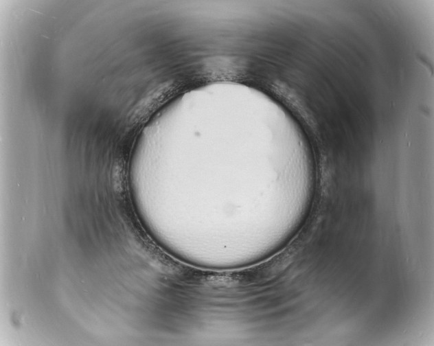 X0000101670161200807311505