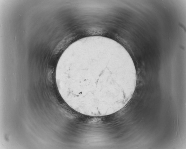 X0000101670162200807311505