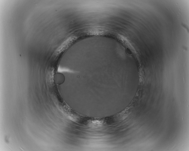 X0000101670163200807311505