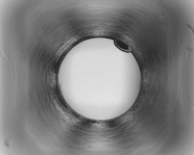 X0000101670164200807311505