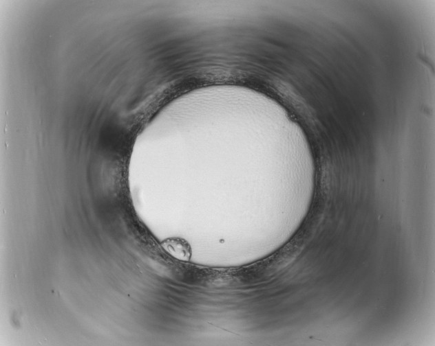 X0000101670165200807311505