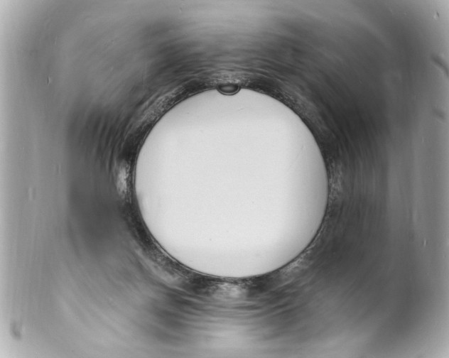 X0000101670166200807311505