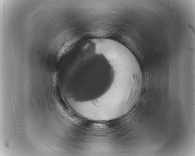 X0000101670167200807311505