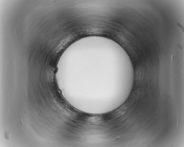 X0000101670168200807311505