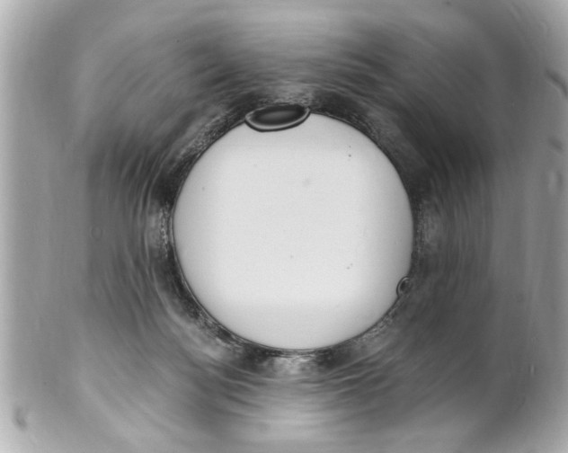 X0000101670172200807311505