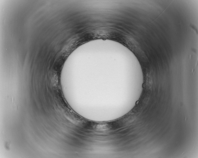 X0000101670173200807311505