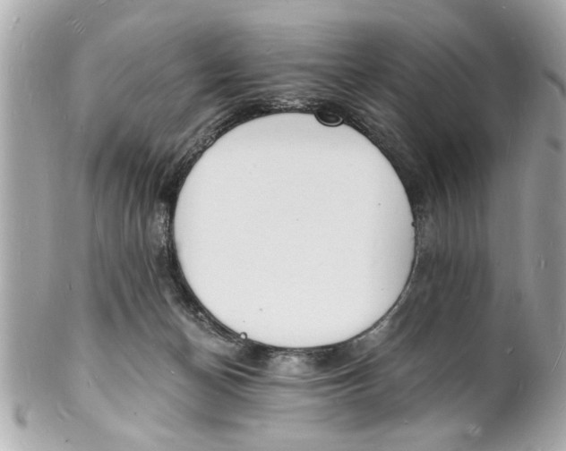 X0000101670174200807311505