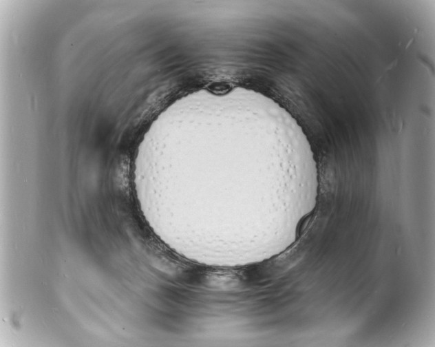X0000101670175200807311505