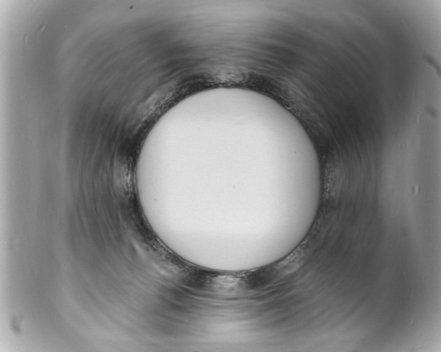 X0000101670176200807311505