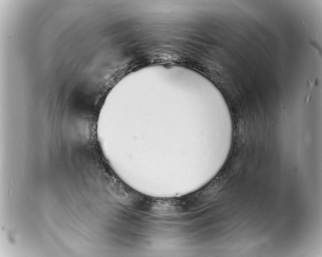 X0000101670177200807311505