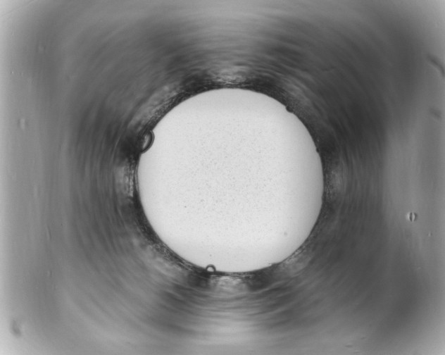 X0000101670180200807311505