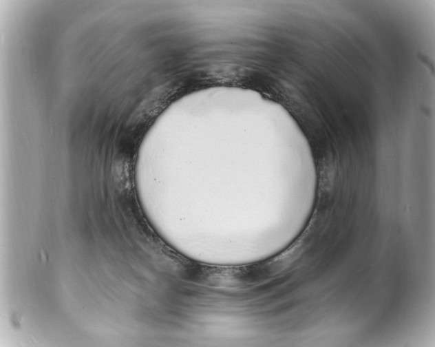 X0000101670182200807311505