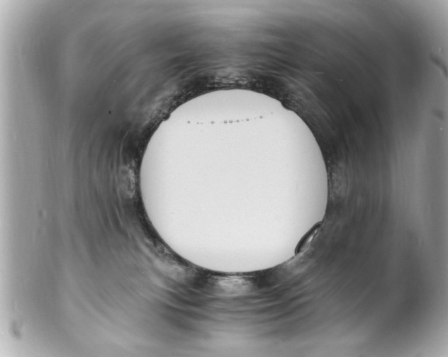 X0000101670183200807311505
