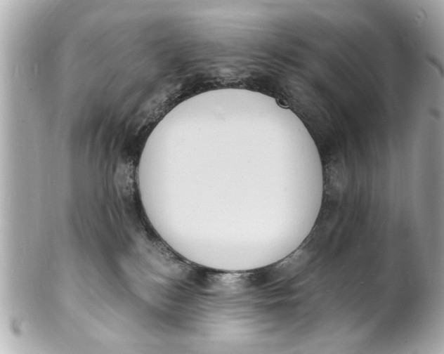 X0000101670184200807311505