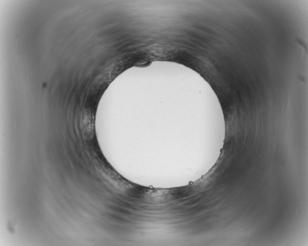 X0000101670186200807311505