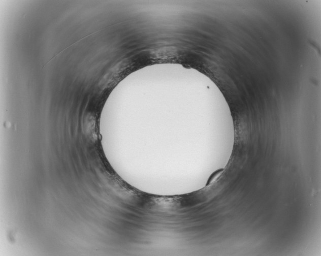 X0000101670187200807311505