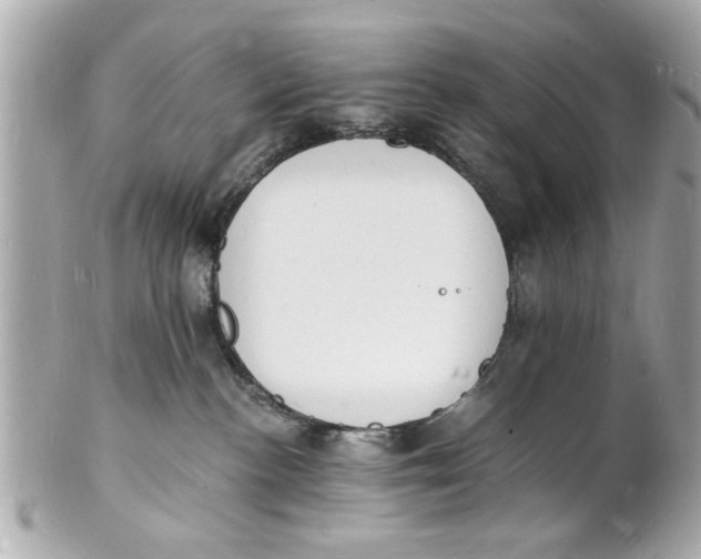 X0000101670188200807311505