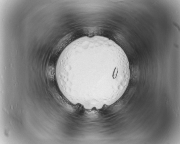 X0000101670189200807311505