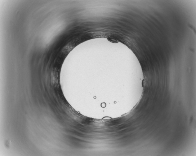X0000101670190200807311505