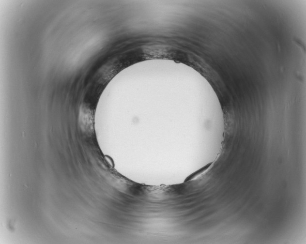 X0000101670191200807311505