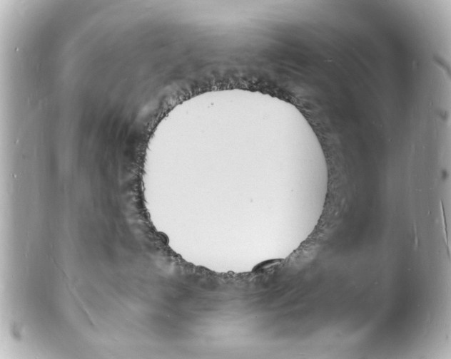 X0000101670192200807311505