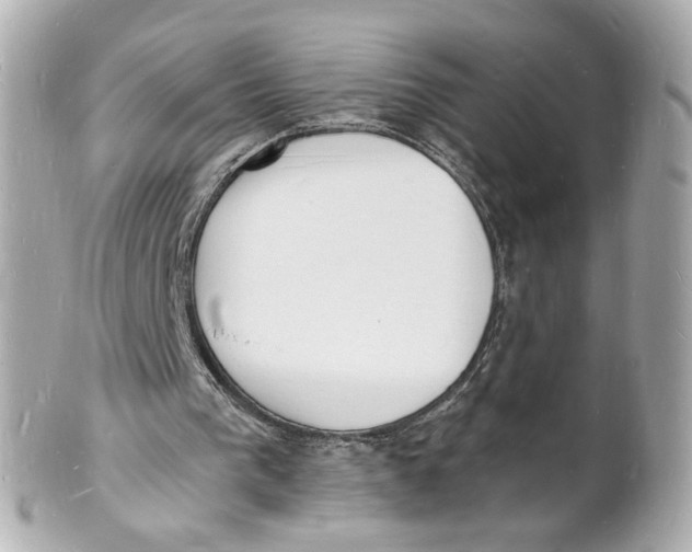 X0000101670193200807311504