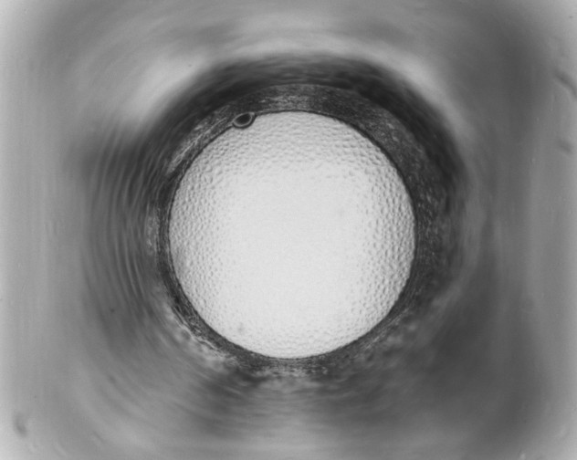 X0000101670194200807311504
