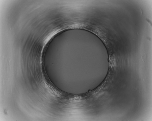 X0000101670196200807311504