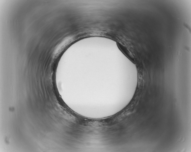 X0000101670197200807311504