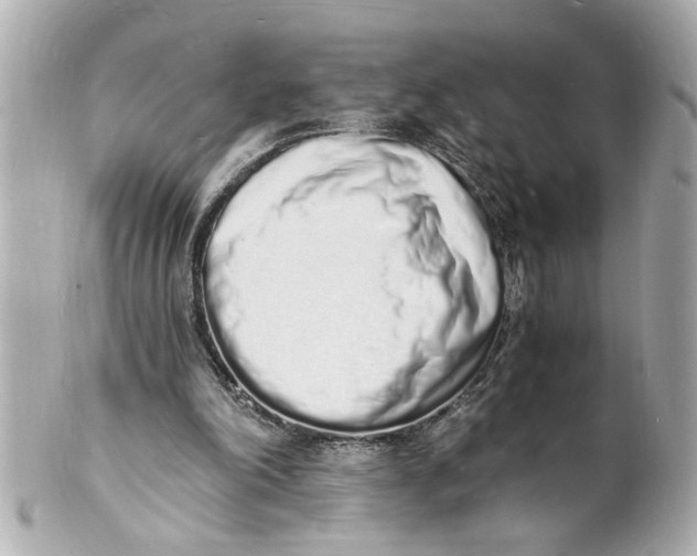 X0000101670198200807311504