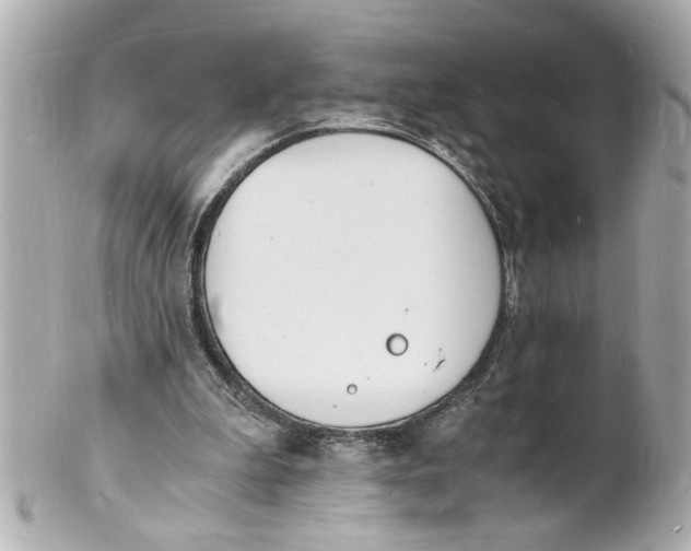 X0000101670199200807311504