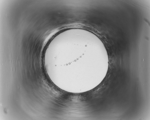 X0000101670200200807311504