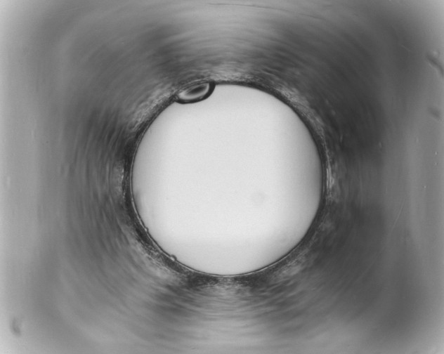 X0000101670201200807311504