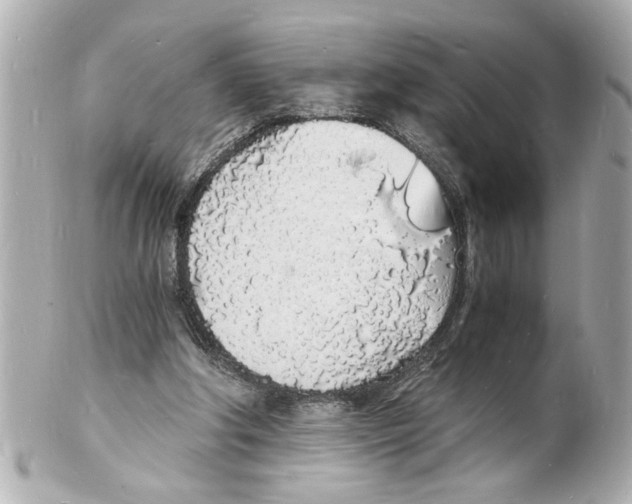 X0000101670202200807311504