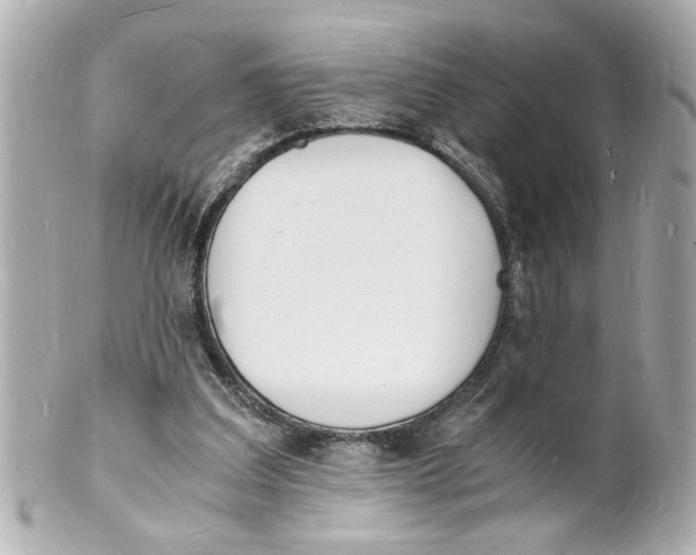 X0000101670203200807311504