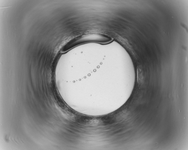 X0000101670204200807311504