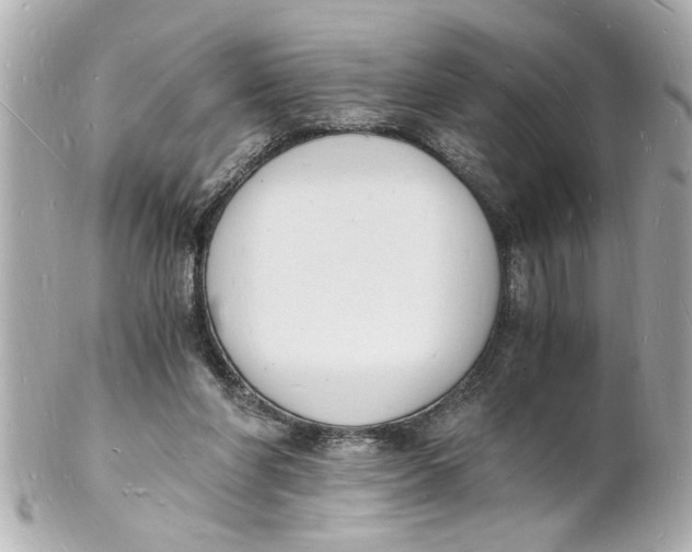 X0000101670206200807311504