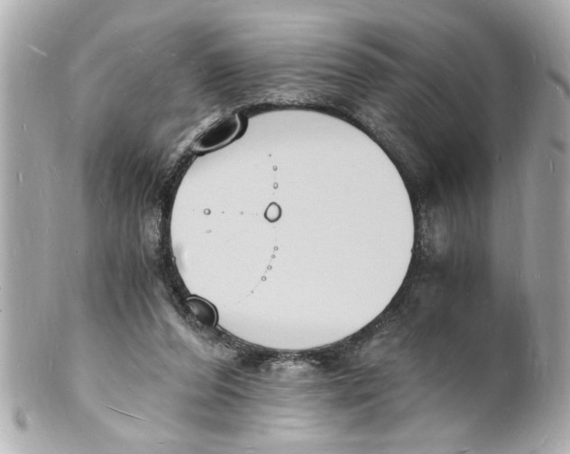 X0000101670208200807311504