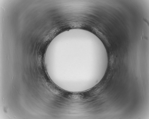 X0000101670209200807311504