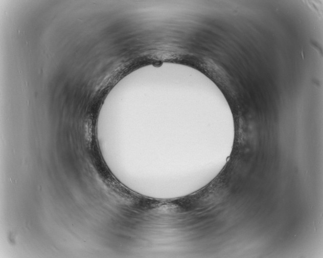 X0000101670210200807311504
