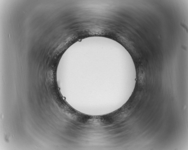 X0000101670211200807311504